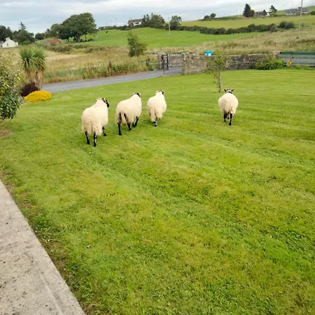 Is It - Along The Coast Holiday home Foghill