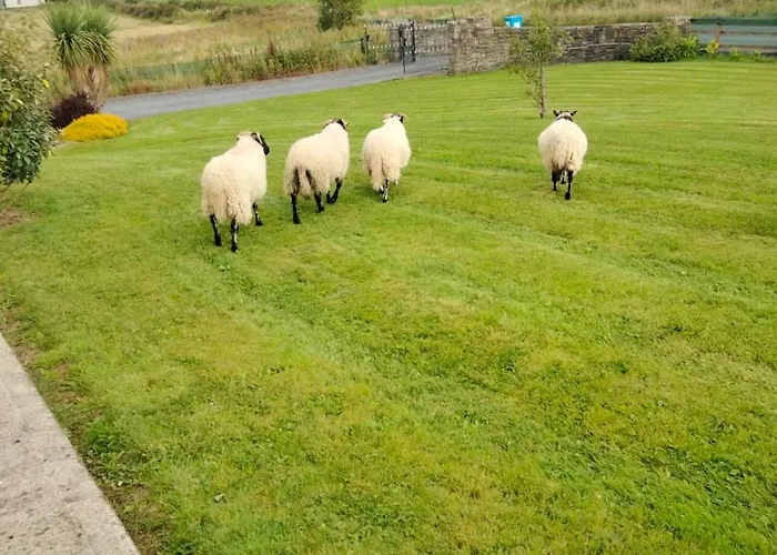 Is It - Along The Coast Casa vacanze Foghill